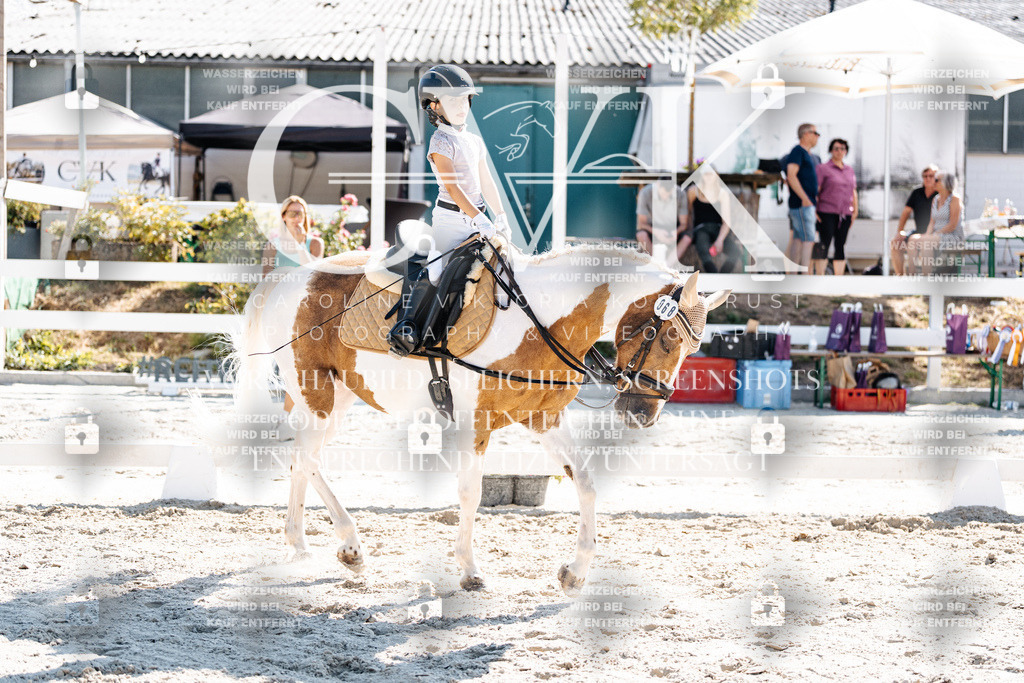 CK903270 | Turnierfotografie Pferdefotografie Trier Rheinland-Pfalz Pferdesport Reitsport Tierfotografie Sportfotografie Pferdevideo Pferdevideografie Equestrianvideography equestrianphotography  - Realisiert mit Pictrs.com