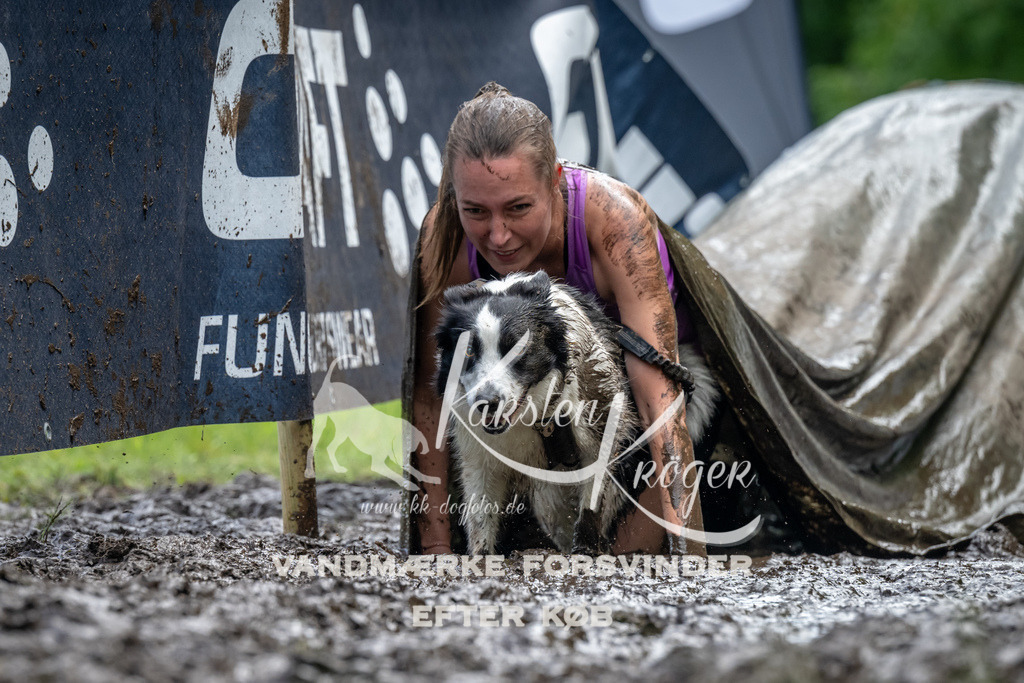 1145_ZZ94152 | kk-dogfotos