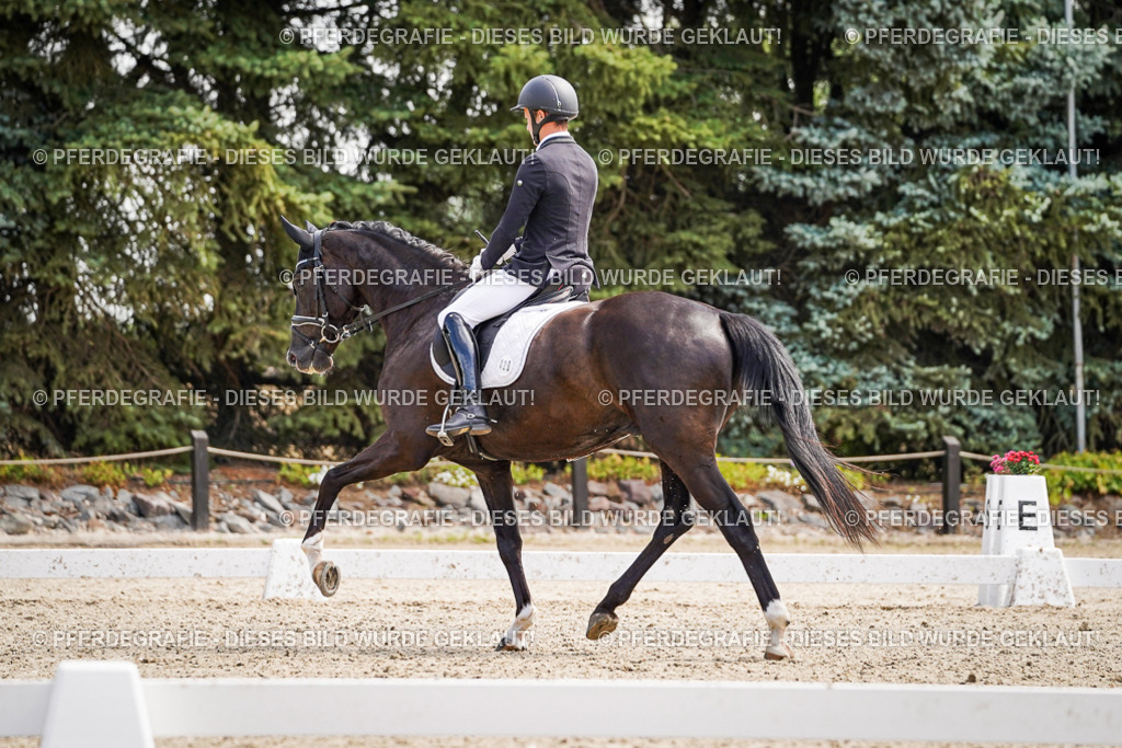 DSC00176 | Pferdegrafie