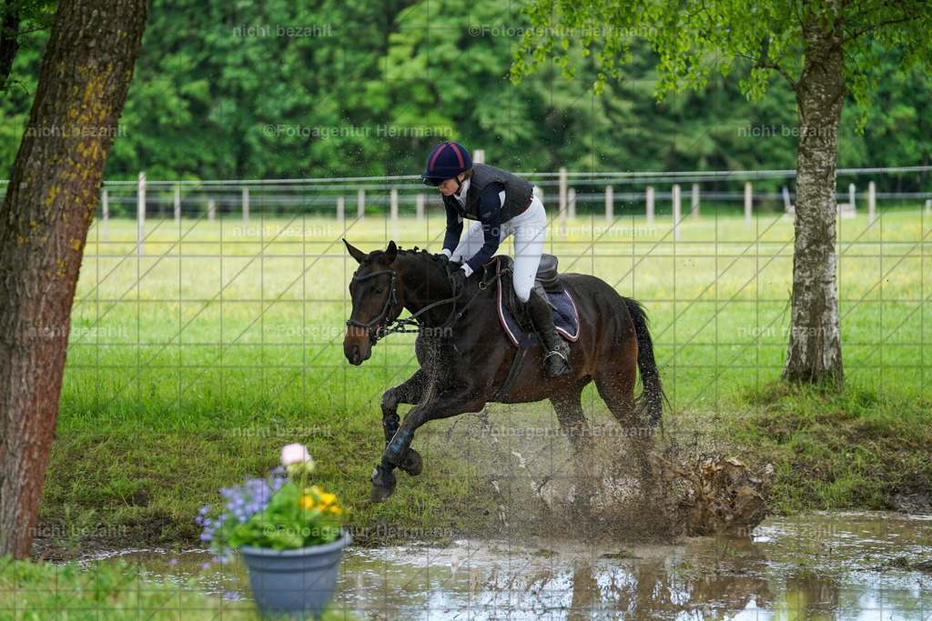 20240518-FAH03654 | Turnierbilder von Niederseon, Turnierfotografen Bayern, Fotoagentur Herrmann, Geländebilder, Reitsportfotografie