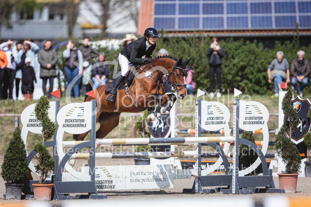 250419_Frühlingsfest_Stil-A2-2-603 | Deine schönsten Turniermomente als professionelle Fotos! Entdecke hochwertige Pferdesport-Fotografie im Online-Shop. Jetzt Fotos finden & bestellen!