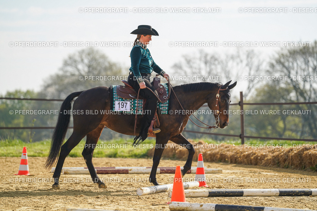 DSC00981 | Pferdegrafie