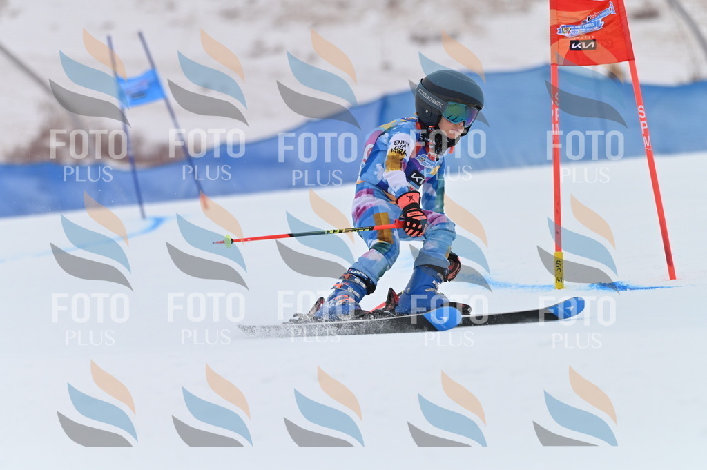 BGV_0687 | holidayphoto