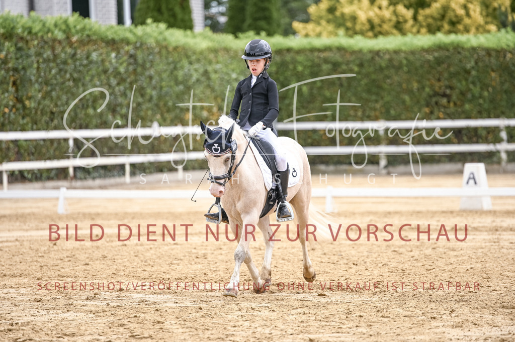 Schugtsche-Aluta25-42.EDressur -385 | Schugtsche Fotografie - Realisiert mit Pictrs.com
