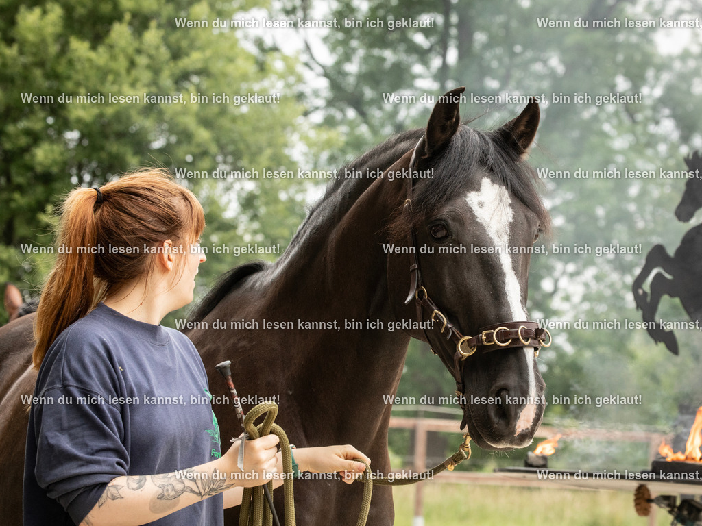 598A6324 | photographylinaismer - Realisiert mit Pictrs.com