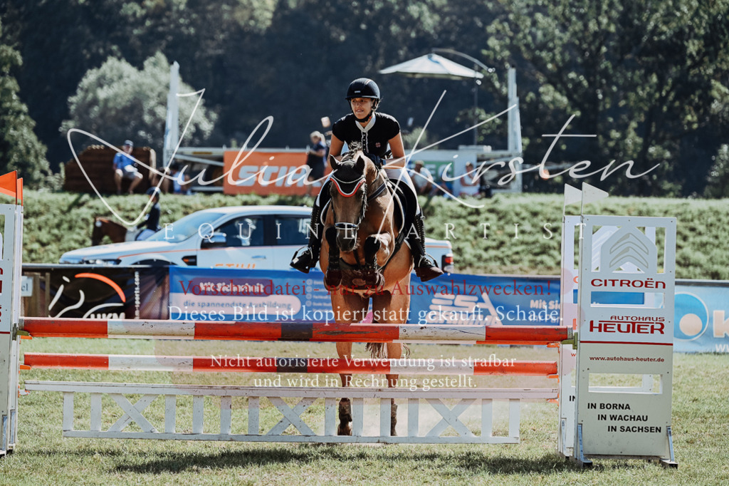DSC_6028 | Pferde- und Turnierfotografie in Westsachsen. Pferdeportraits, Auftragszeichnungen und intuitive Kunst.