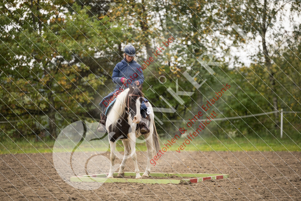 CON_8757 | Sport-, Event- und Tierfotos in Profiqualität. Einfach auswählen, bestellen und herunterladen. Dein Moment – perfekt festgehalten.