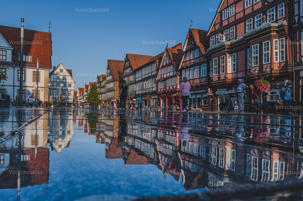 Fotoatelier Christian Hofmeister | Stadtlandschaften, sowie Makro-, Landschafts-, Natur- und Schwarzweißfotos aus der Region Celle &amp; Umgebung