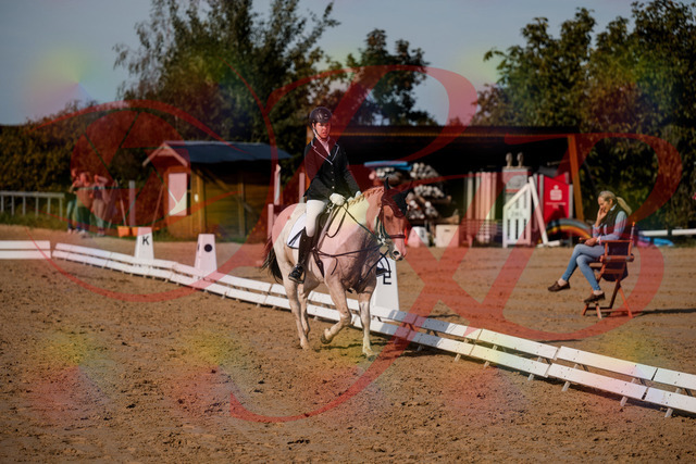 2026_10_03_Siefer-Hof_114712_Z63_25534809 | Professionelle Reitsport-, Turnier- und Eventfotografie von Robert Broda. Galerien mit ausgewählten und bearbeiteten Bildern direkt online ansehen und bestellen.