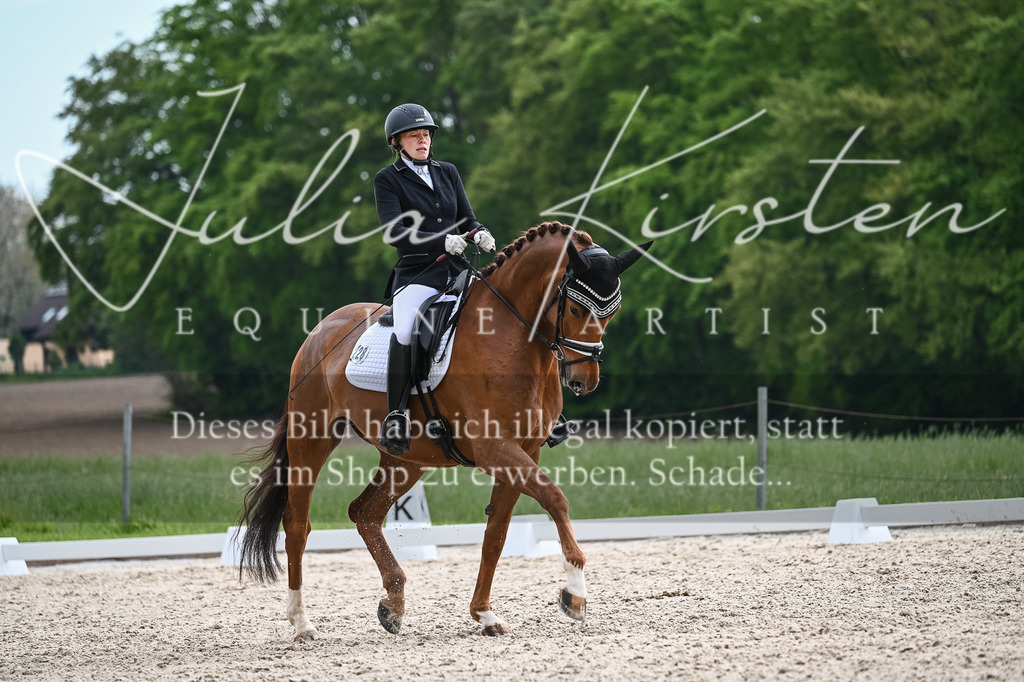 20230512_JK-Röhrsdorf-02-306 | Pferde- und Turnierfotografie in Westsachsen. Pferdeportraits, Auftragszeichnungen und intuitive Kunst.