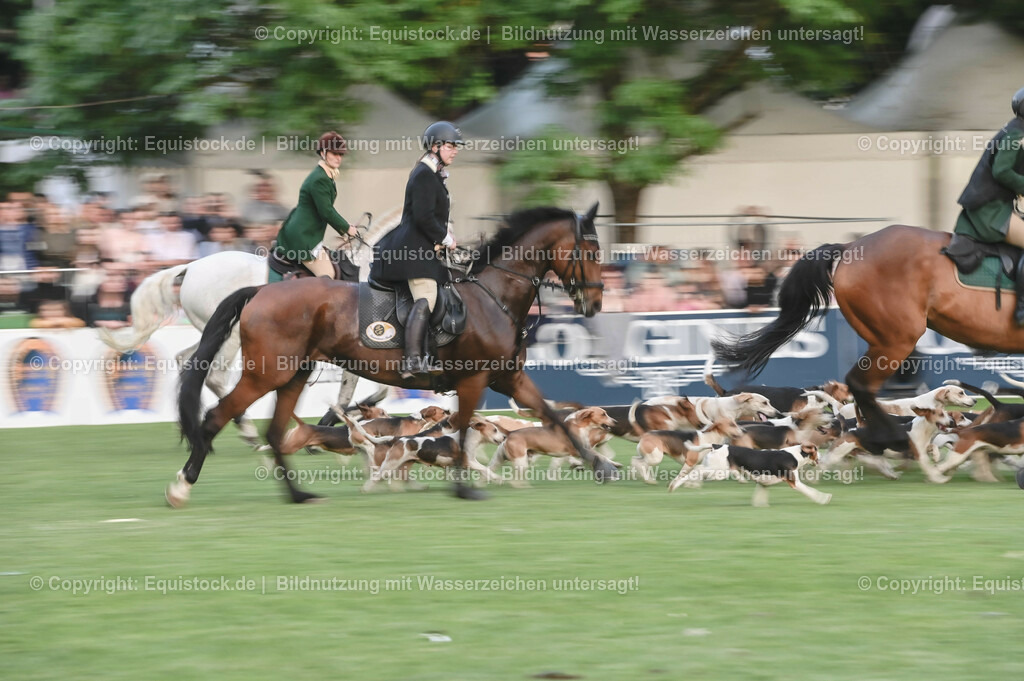 20230526_Pferdenacht_0655 | equistock
