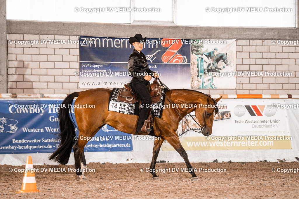 ZH100678 | dv-media-shop - Realisiert mit Pictrs.com