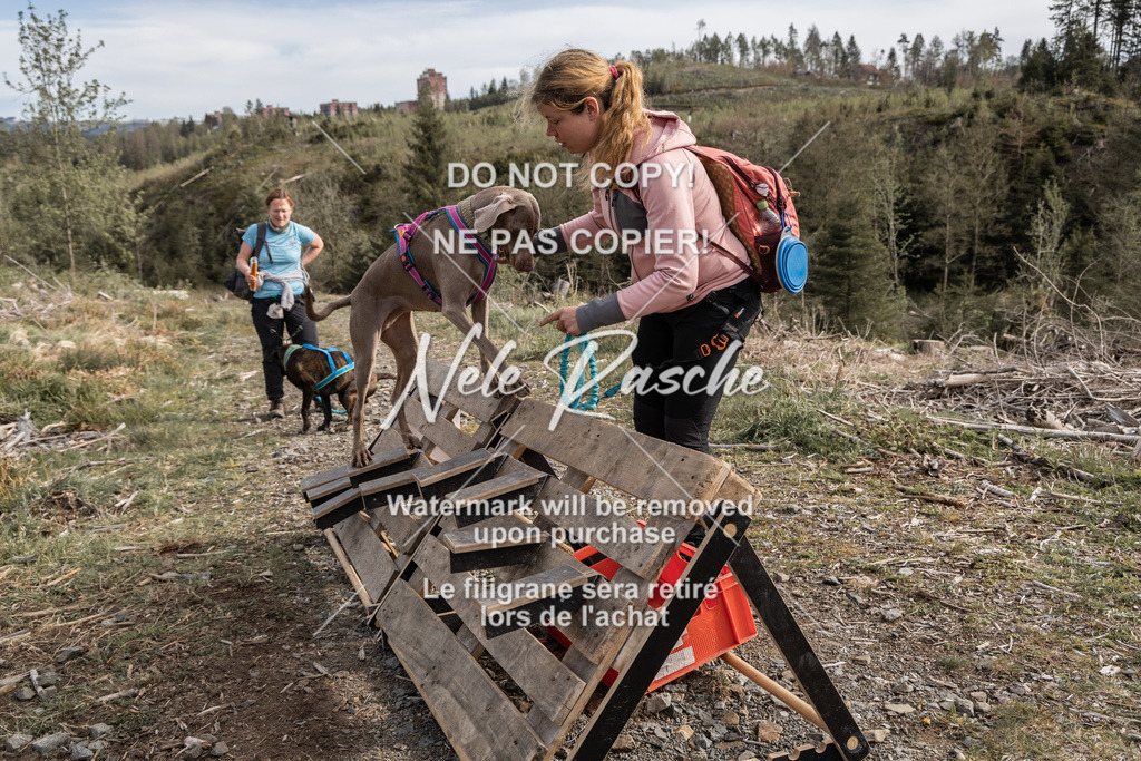 NR__1883 | nelerasche