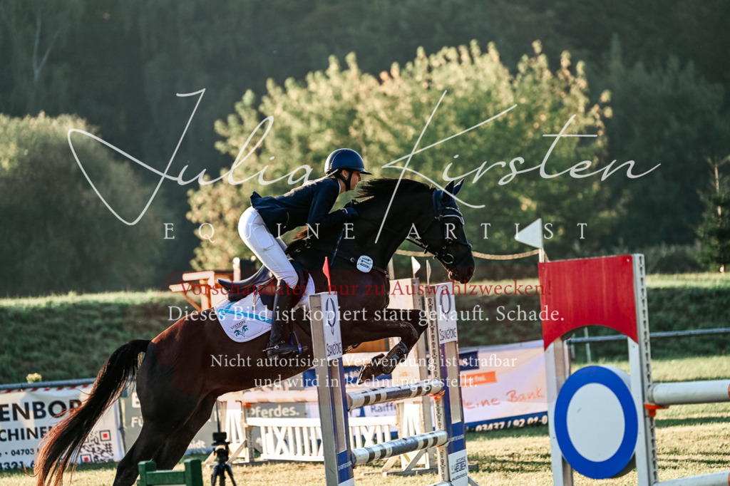 DSC_3805 | Pferde- und Turnierfotografie in Westsachsen. Pferdeportraits, Auftragszeichnungen und intuitive Kunst.