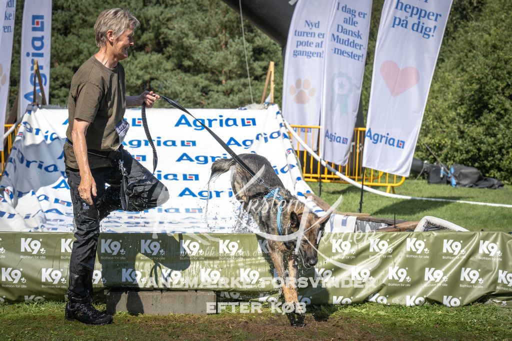 1559_ZZ97873 | kk-dogfotos