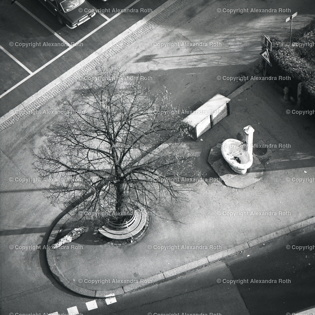 Aarau_0463 | onlineshop - Realisiert mit Pictrs.com