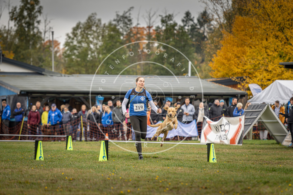Pfotenfotografie_DV3A3013 | Hundefotografie, Tierfotograf, Pfotenfotografie, Fotoshooting Hund, Hunde Portrait, Hundesport, Hundeportraits, Heideshooting, Hunde, Sportfotograf, Hundefotograf, Turnierhundsport, THS,  - Realisiert mit Pictrs.com