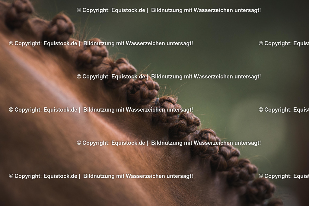 TS_20170501_Eingeflochtene_M__hne_0004 | Foto: Thomas Hartig