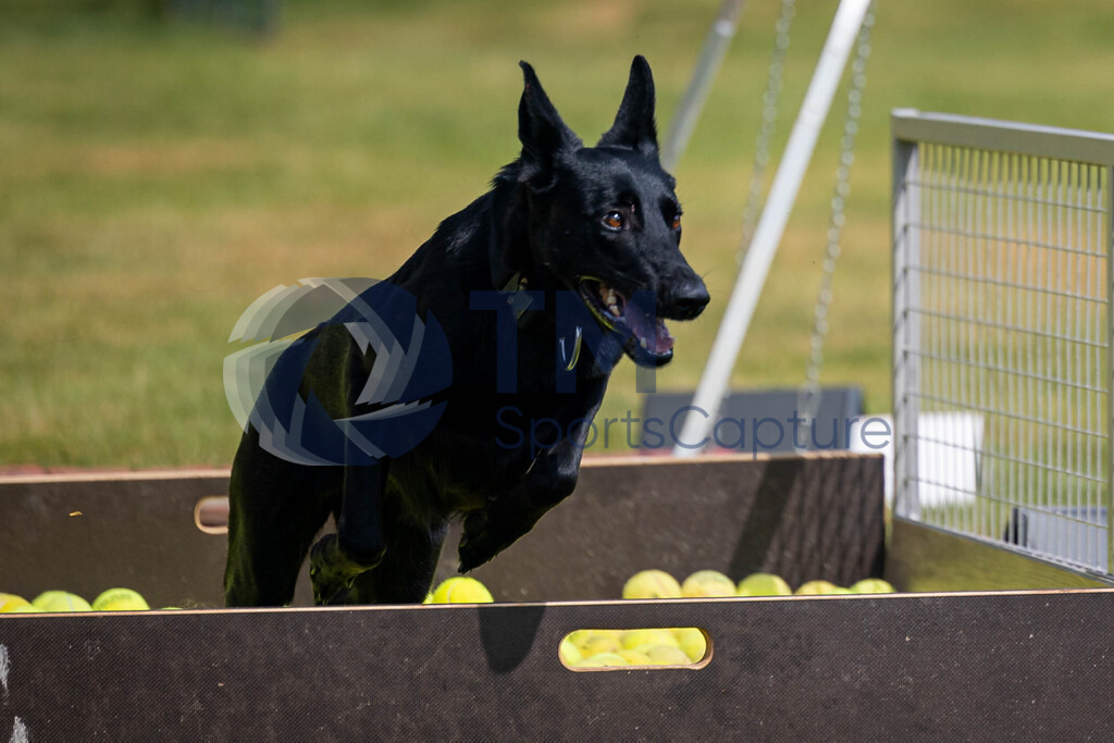 TP-20240815-0166 | Copyright: Trainproduction / Matthias Trinkl