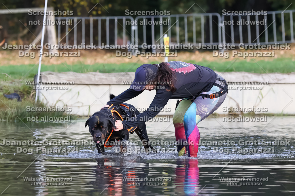 Dog Paparazzi - Strongdog 10-25-7001 | Dog Paparazzi Jeanette Grottendiek Fotografie & Videografie - Realisiert mit Pictrs.com