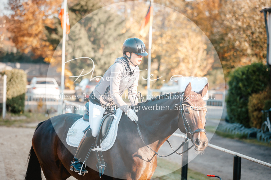 3I6A1622 | Stimmungsvolle Portraits und Reitsportfotografie im Ruhrgebiet und im Münsterland.

Pferdefotografie, Hundefotografie, Tierfotografie, Reportagen, Portraits von Tier und Mensch, Turnierfotografie in Bochum, Recklinghausen, Marl, Haltern am See, Dülmen.. - Realisiert mit Pictrs.com