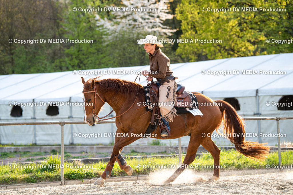 Heiligenwald Tag 1-1209 | dv-media-shop - Realisiert mit Pictrs.com