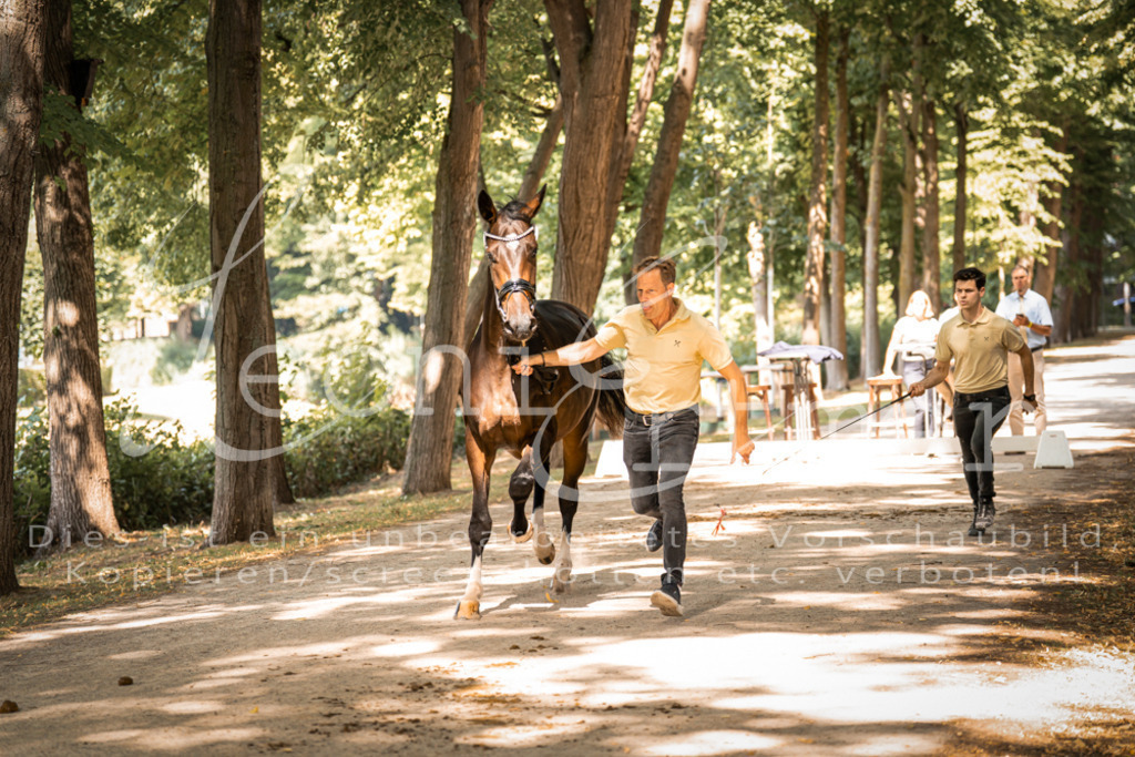 FrPfM00226 | Leoni Ertmer Photography - Realisiert mit Pictrs.com