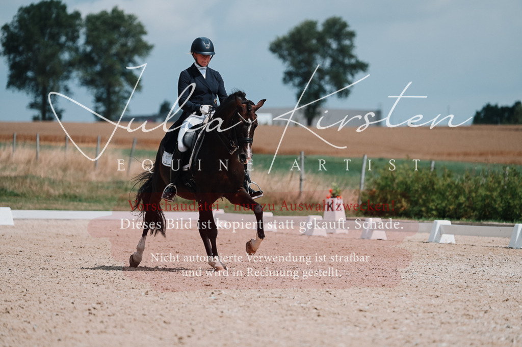 DSC_3947 | Pferde- und Turnierfotografie in Westsachsen. Pferdeportraits, Auftragszeichnungen und intuitive Kunst.