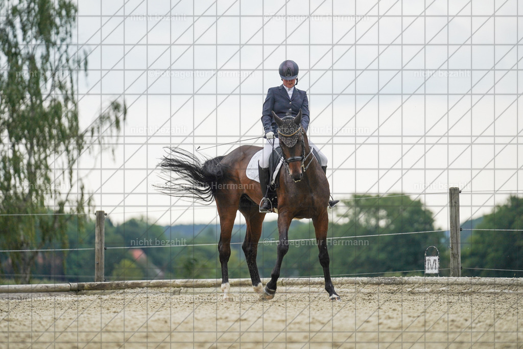 20230826-FAH06255 | Forstinning, 2023, Dressurturnier, Turniersportbilder, Turnierfotografen Bayern, Fotoagentur Herrmann, Reitsportfotografie, Turnierbilder