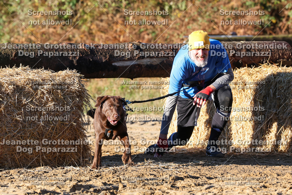 Dog Paparazzi - Strongdog 10-25-1305 | Dog Paparazzi Jeanette Grottendiek Fotografie & Videografie - Realisiert mit Pictrs.com