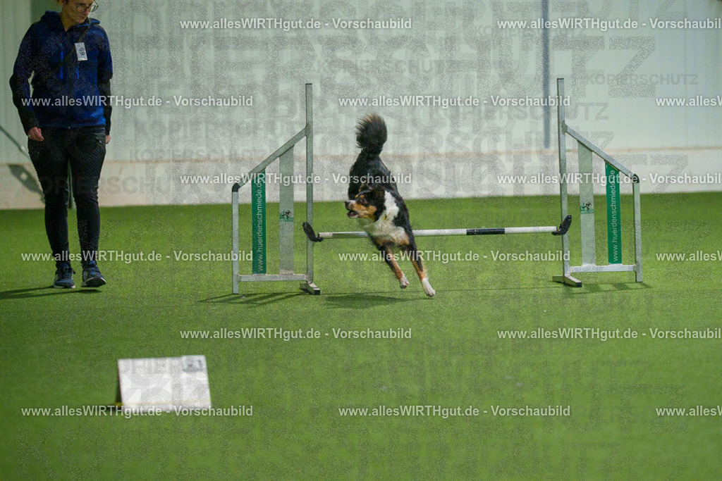 7R508194 | Professionelle Tierfotografie in Mönchengladbach von Daniel Wirth (allesWIRTHgut). Liebevolle & natürliche Bilder von Hunden & Katzen für unvergessliche Erinnerungen.