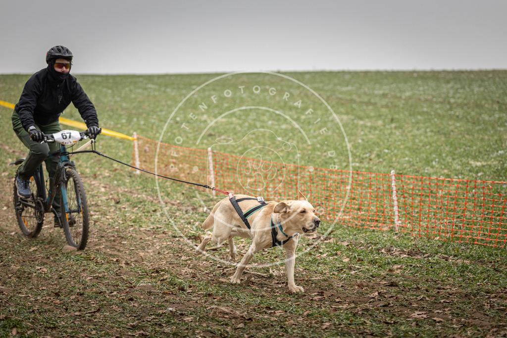 Pfotenfotografie_DV3A2964 | Hundefotografie, Tierfotograf, Pfotenfotografie, Fotoshooting Hund, Hunde Portrait, Hundesport, Hundeportraits, Heideshooting, Hunde, Sportfotograf, Hundefotograf, Turnierhundsport, THS,  - Realisiert mit Pictrs.com