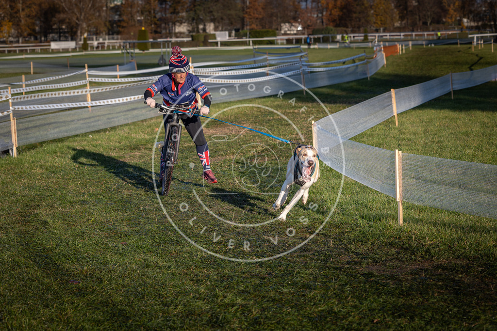 CaniXpix_0L8A3745 | Hundefotografie, Tierfotograf, Pfotenfotografie, Fotoshooting Hund, Hunde Portrait, Hundesport, Hundeportraits, Heideshooting, Hunde, Sportfotograf, Hundefotograf, Turnierhundsport, THS,  - Realisiert mit Pictrs.com