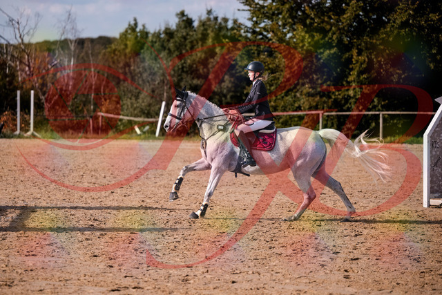 2026_10_03_Siefer-Hof_155126_Z81_70241090 | Professionelle Reitsport-, Turnier- und Eventfotografie von Robert Broda. Galerien mit ausgewählten und bearbeiteten Bildern direkt online ansehen und bestellen.