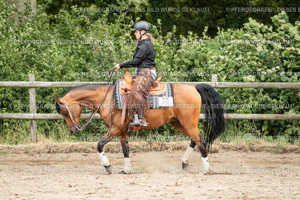 DSC04137 | Pferdegrafie