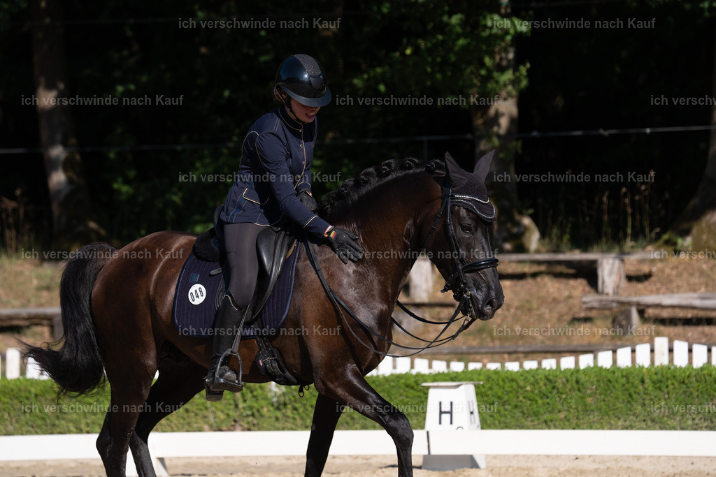 WM_DR_48_sinafilmart_IN04333 | working equitationturnier fotograf videograf stoibphotography marixx film working equitation deutschland reitsport turnierfotografie eventfotografie equestrian events