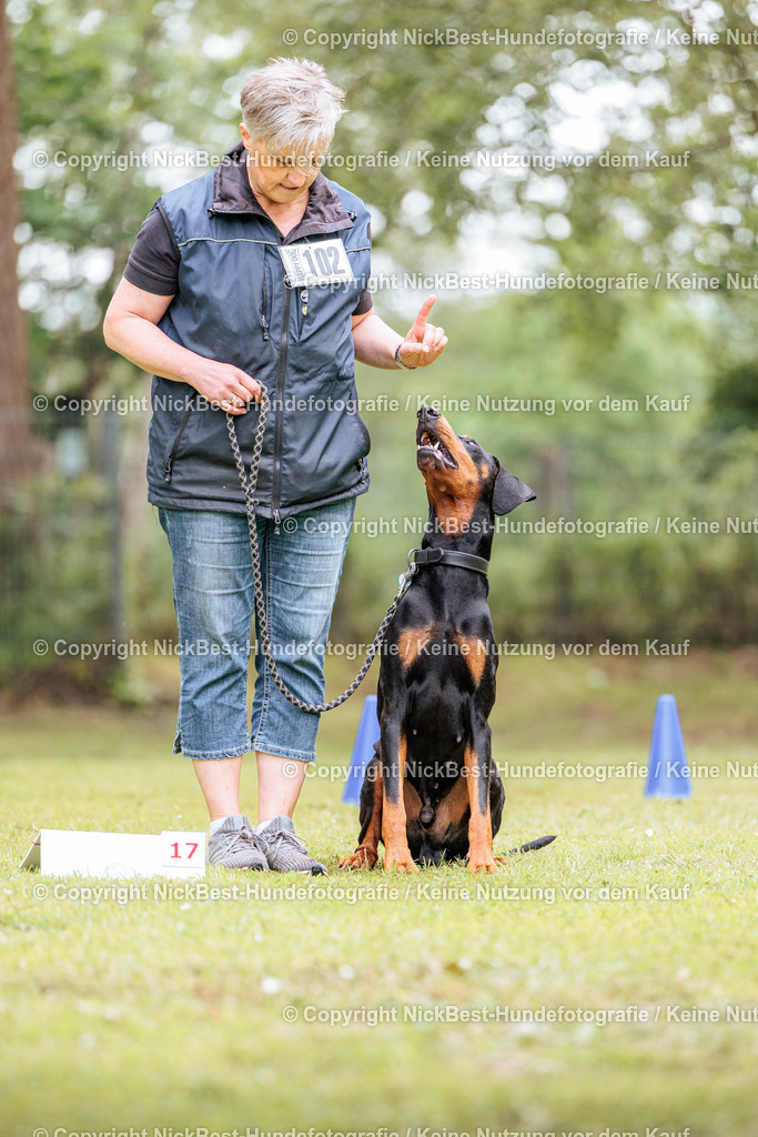 RO-Blumenthal-2026-Nickbest-Hundefotografie-5289 | Dein Hund! Dein Moment! Deine Erinnerungen! Hundefotografie in Bremen Blumenthal. Ich fange die besonderen Momente deines Vierbeiners ein – ob Indoor mit Blitzanlage oder in der freien Natur. Sicher dir dein Moment und dein Termin für eure Erinnerungen.