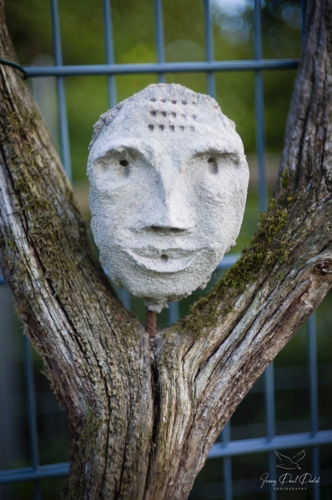 2024-08-10_18_55_17_L1007882 | Franz Podek