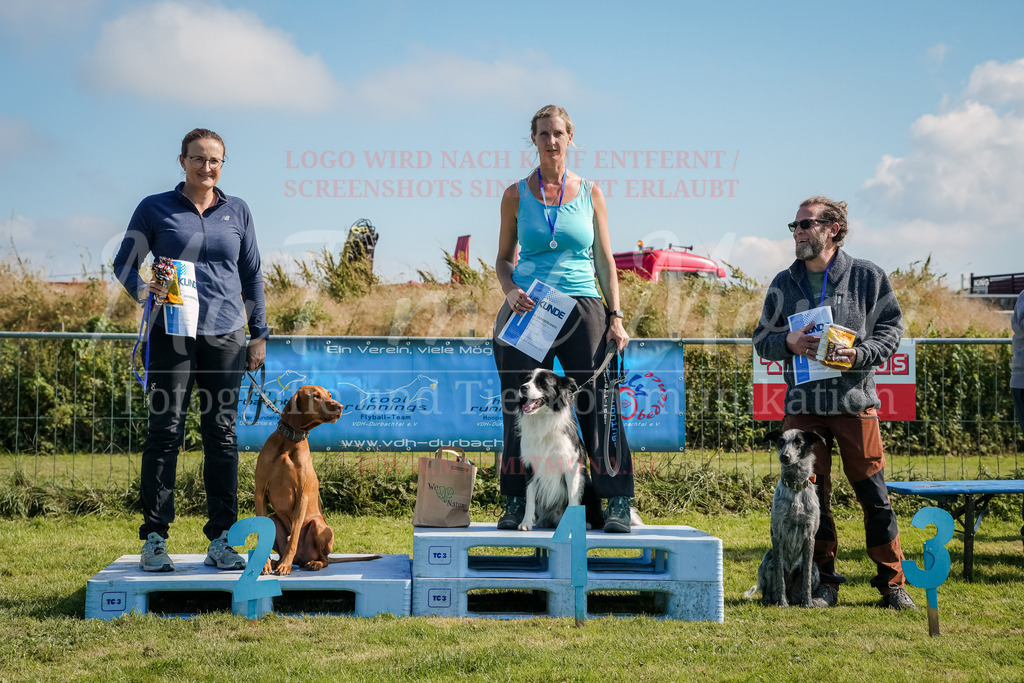 20250928_Hunderennen-772 | MuT (Mensch und Tier) mit Mona - Fotografie und Tierkommunikation - Realisiert mit Pictrs.com