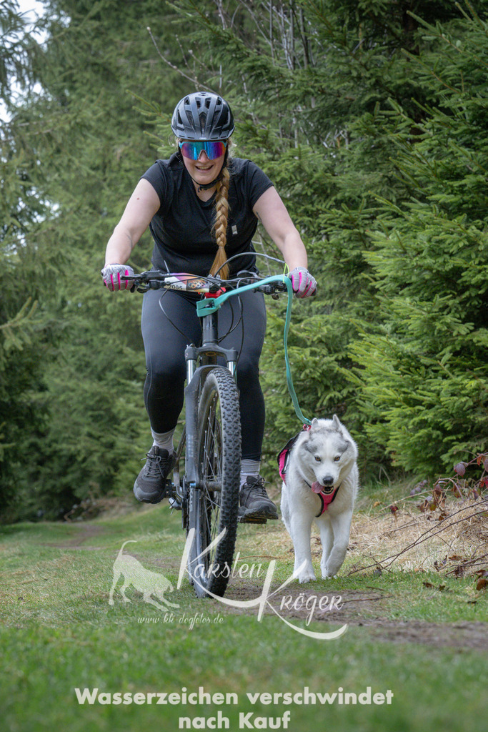 1317_ZZ94134 | kk-dogfotos