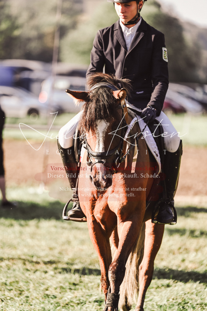 DSC_4592 | Pferde- und Turnierfotografie in Westsachsen. Pferdeportraits, Auftragszeichnungen und intuitive Kunst.