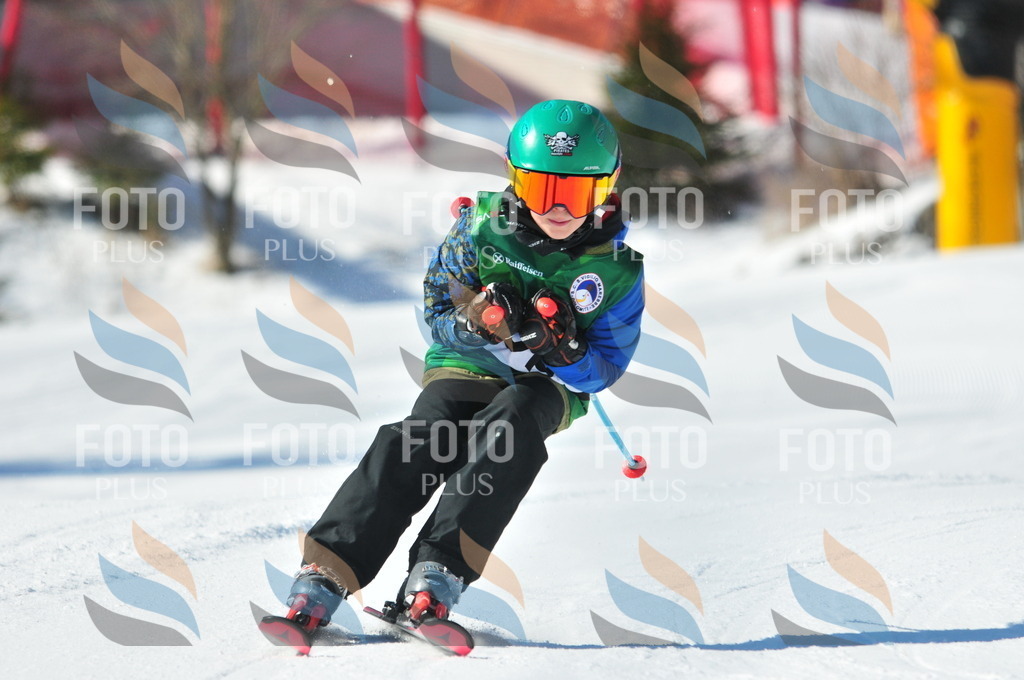 C2868 | holidayphoto