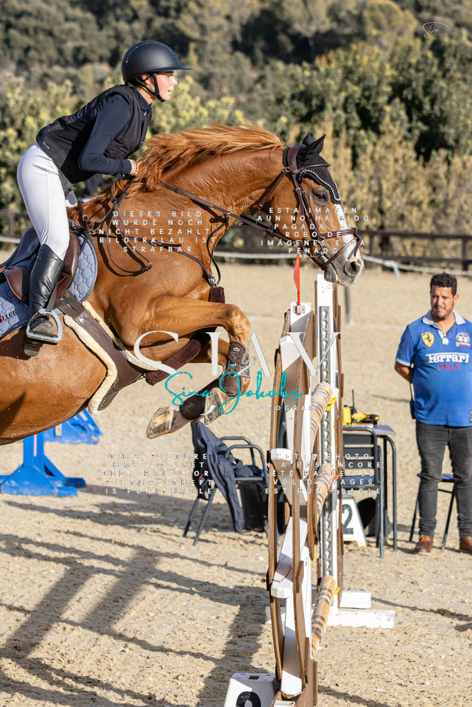 IMG_0543 | s-jay-photography - Realisiert mit Pictrs.com