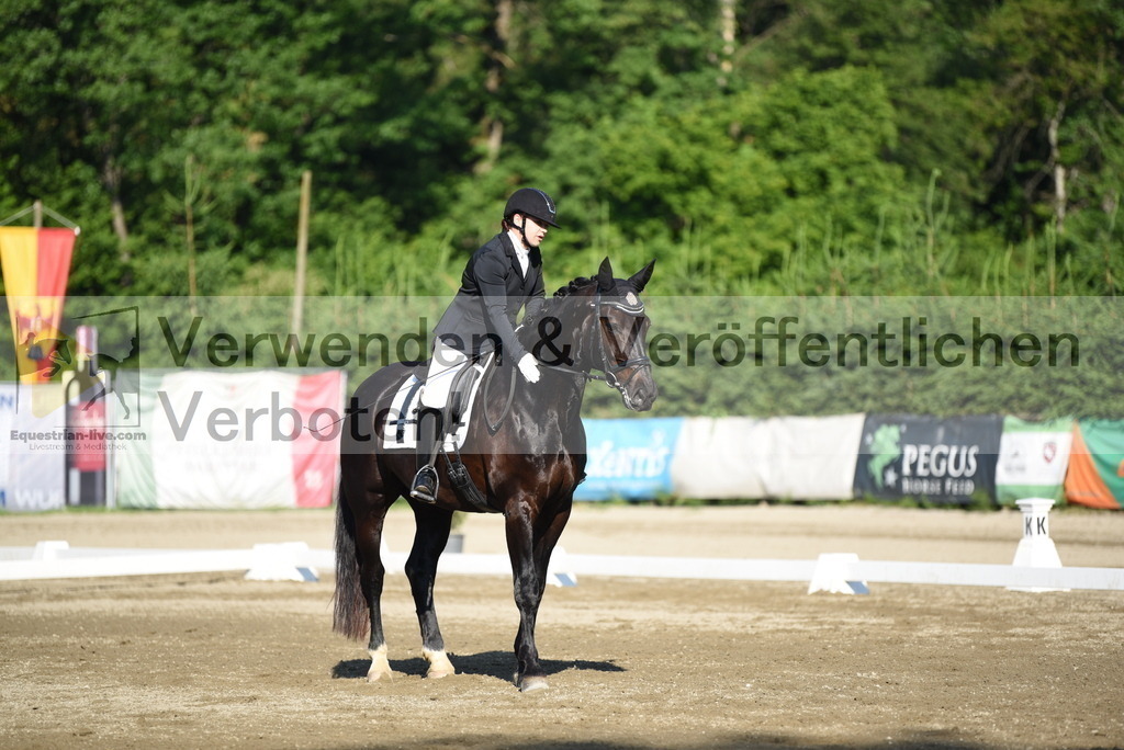 DSC_6916 | equestrian-live-com