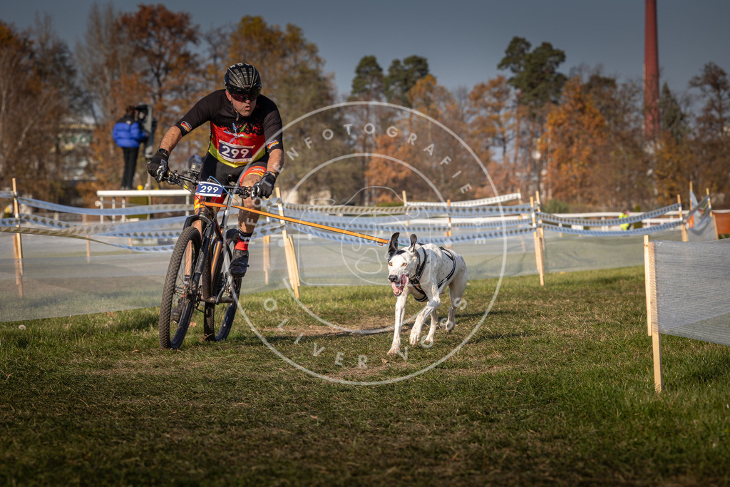 CaniXpix_0L8A7613 | Hundefotografie, Tierfotograf, Pfotenfotografie, Fotoshooting Hund, Hunde Portrait, Hundesport, Hundeportraits, Heideshooting, Hunde, Sportfotograf, Hundefotograf, Turnierhundsport, THS,  - Realisiert mit Pictrs.com
