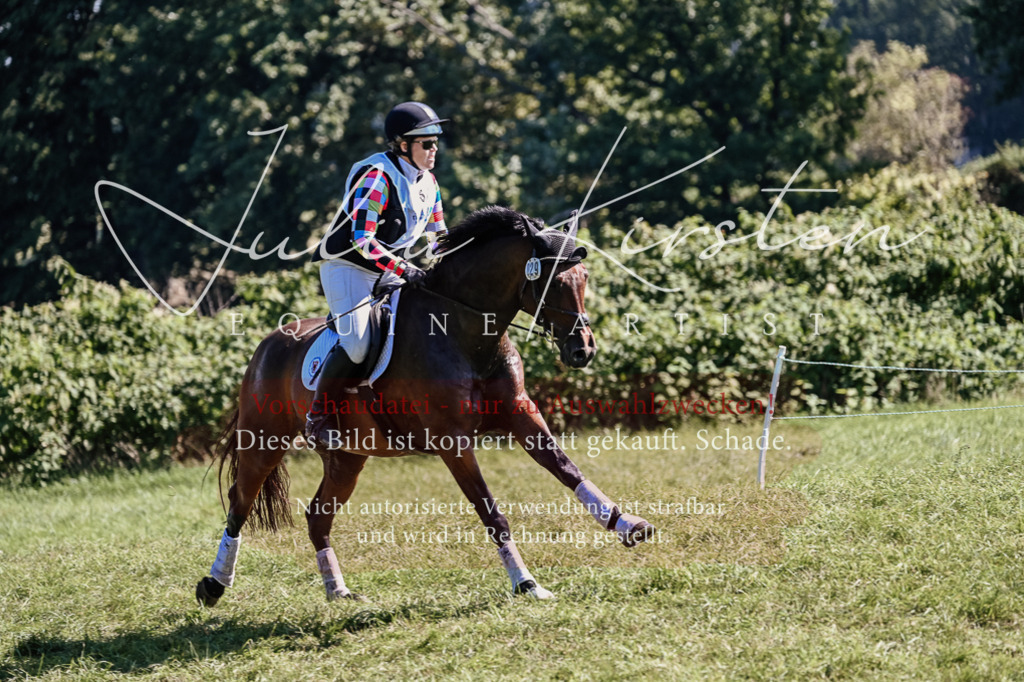 DSC_1583 | Pferde- und Turnierfotografie in Westsachsen. Pferdeportraits, Auftragszeichnungen und intuitive Kunst.