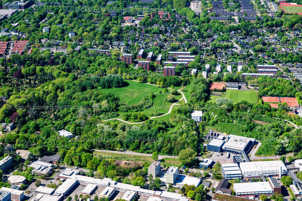 Hamburg_Bahrenfeld_Lise_Meitner_Park_ELS_4644010525 | HAMBURG 01.05.2025 Parkanlage " Lise Meitner Park " in Hamburg, Deutschland. // Park of " Lise Meitner Park " in Hamburg, Germany. Foto: Martin Elsen