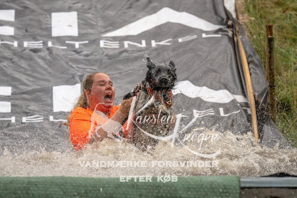 1403_ZZ94045 | kk-dogfotos