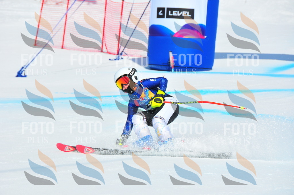 DSC_1292 | holidayphoto