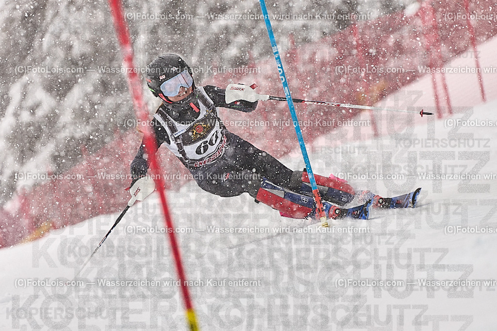 _ALP8813_MASTERS-WM_Reiteralm_CD_SL-I_KIRIKUBO Miyuki | FISWORLD CHAMPIONSHIPSMASTERS ALPINE SKIING, 23. – 28. MÄRZ 2026 - REITERALM | STMK | AUT.   Veranstaltet vom Masters-Referat des Deutschen Skiverbandes (DSV). Durchführende Organisation: WSV Pichl-Reiteralm, unterstütutzt von den Bergbahnen REITERALM bei Schladming und SKI AUSTRIA.                            Disziplinen:  Super-G, GiantSlalom, Slalom.                                                 Kategorien:  A (Herrn 30-59 Jahre), B (Herrn ab 60 Jahre), C (Damen 30-59 Jahre), D (Damen ab 60 Jahre).                Rennstrecken:   Gasselhöhe und Muldenliftpiste auf der Reiteralm.
